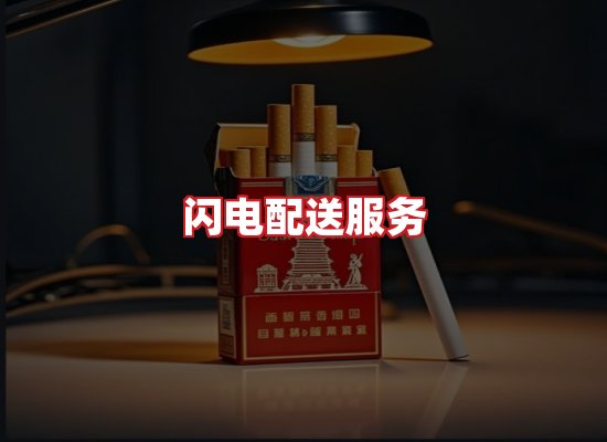 专业团队